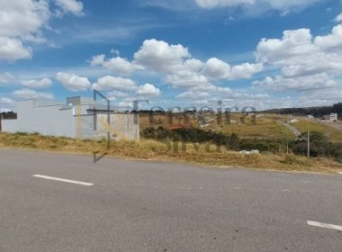 WhatsApp Image 2026-03-04 at 05.26.49