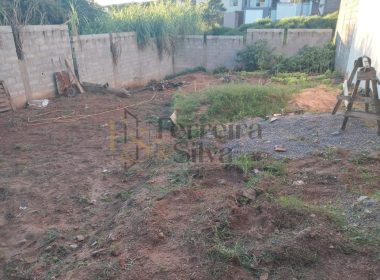 WhatsApp Image 2026-03-04 at 11.51.11 (1)