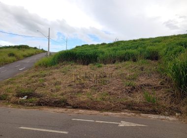 WhatsApp Image 2026-03-30 at 08.27.49