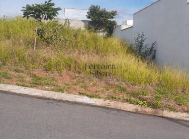 WhatsApp Image 2026-04-10 at 13.56.19