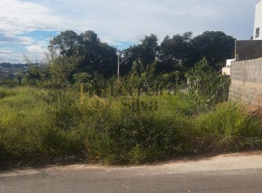 WhatsApp Image 2026-04-10 at 14.06.05 (1)