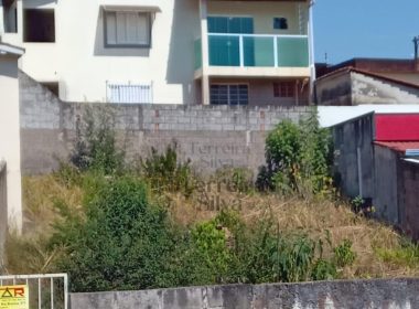 WhatsApp Image 2026-04-15 at 20.41.08